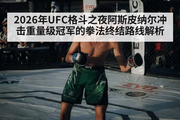 UFC octagon cage fight